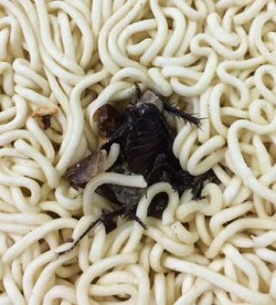 にゅーす まとめ も りー